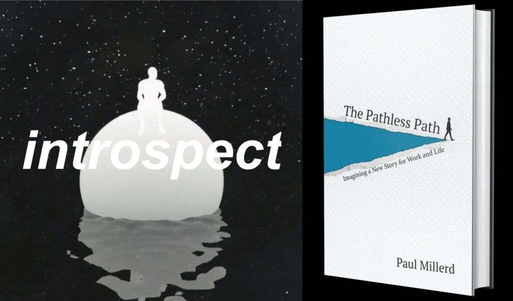 Interview: Introspect and The Pathless Path